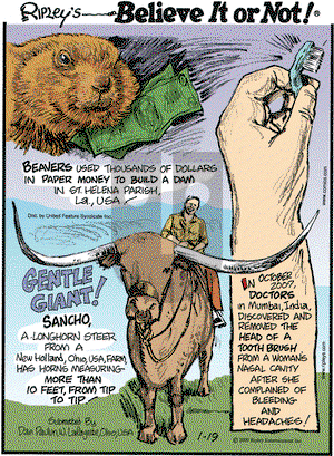 Ripley's Believe It or Not on Monday January 19, 2009 Comic Strip