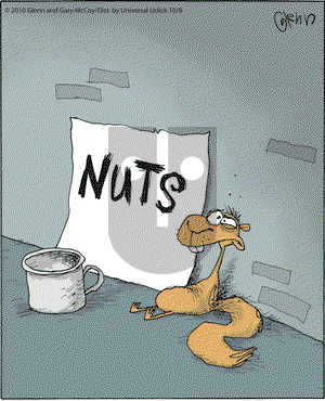 The Flying McCoys on Friday October 8, 2010 Comic Strip