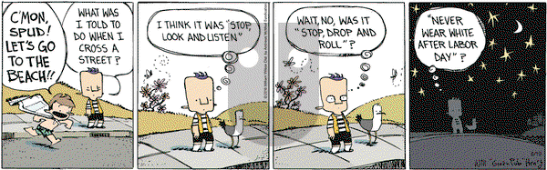 Wallace the Brave on Tuesday June 19, 2018 Comic Strip