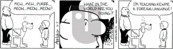 The Born Loser - Saturday February 7, 2004 Comic Strip