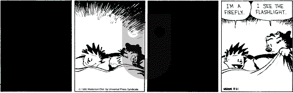 Calvin and Hobbes - Monday August 21, 1995 Comic Strip