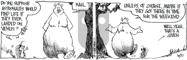 The Grizzwells on Tuesday June 17, 2008 Comic Strip