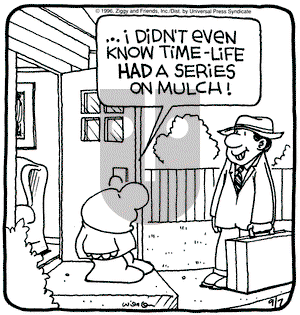 Ziggy on Saturday June 9, 2001 Comic Strip
