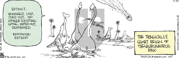 Non Sequitur on Saturday July 22, 2006 Comic Strip
