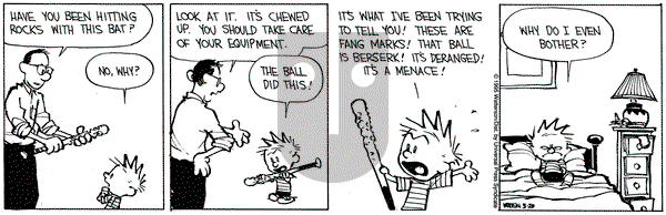 Calvin and Hobbes on Saturday May 20, 1995 Comic Strip