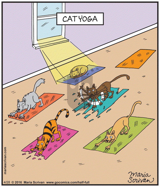 Half Full on Monday April 28, 2025 Comic Strip