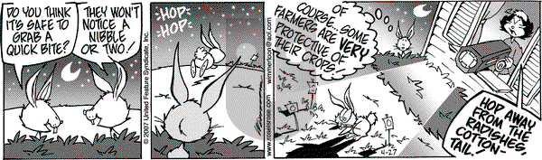 Rose is Rose on Friday April 27, 2007 Comic Strip