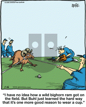 In the Bleachers on Friday May 16, 2008 Comic Strip