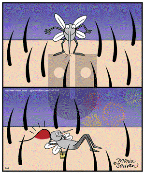 Half Full - Friday July 4, 2014 Comic Strip