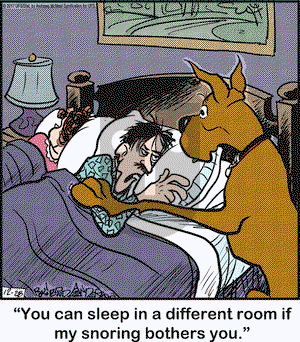 Marmaduke on Thursday December 28, 2017 Comic Strip
