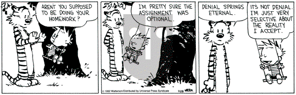 Calvin and Hobbes on Friday December 17, 1993 Comic Strip