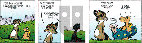Over the Hedge on Thursday May 16, 2019 Comic Strip