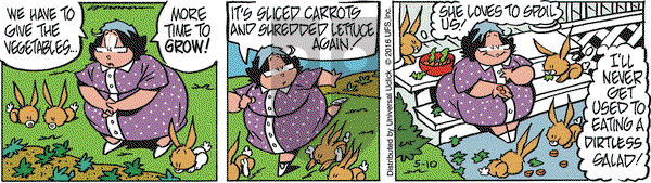 Rose is Rose on Tuesday May 10, 2016 Comic Strip