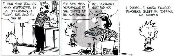 Calvin and Hobbes - Friday July 19, 2013 Comic Strip