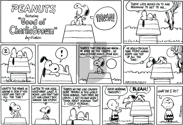 Peanuts - Sunday November 5, 1967 Comic Strip