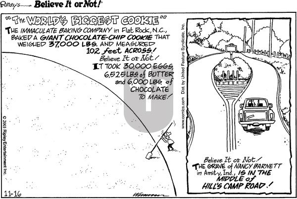 Ripley's Believe It or Not on Sunday November 16, 2003 Comic Strip