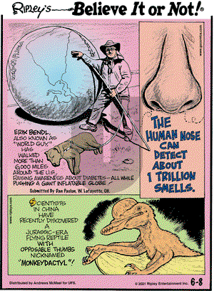 Ripley's Believe It or Not on Tuesday June 8, 2021 Comic Strip