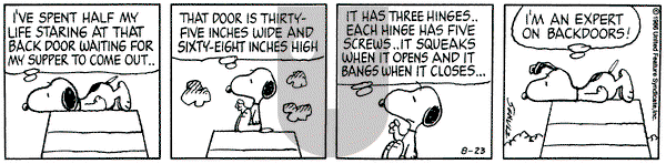 Peanuts on Saturday August 23, 1986 Comic Strip