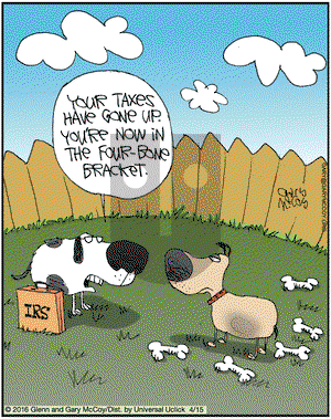 The Flying McCoys on Friday April 15, 2016 Comic Strip