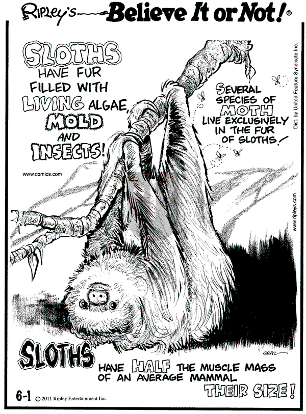 Ripley's Believe It or Not - Wednesday June 1, 2011 Comic Strip