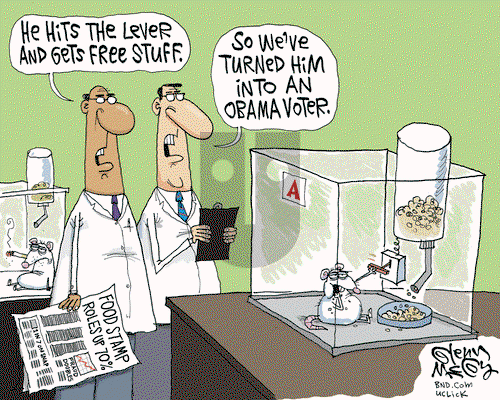 Glenn McCoy on Thursday April 25, 2013 Comic Strip