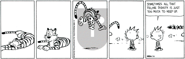 Calvin and Hobbes on Monday March 6, 1995 Comic Strip
