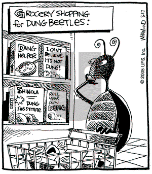 Reality Check on Thursday March 17, 2005 Comic Strip