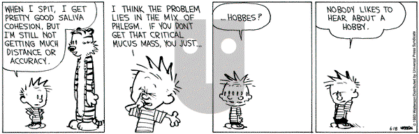 Calvin and Hobbes on Friday June 18, 1993 Comic Strip