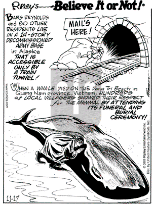 Ripley's Believe It or Not on Monday November 17, 2003 Comic Strip