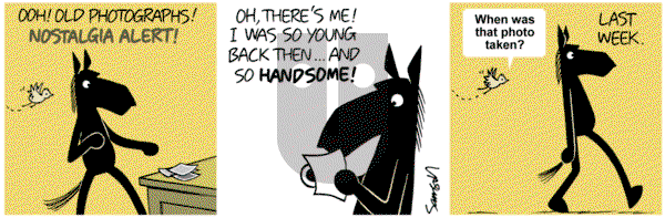 Dark Side of the Horse on Wednesday August 21, 2019 Comic Strip
