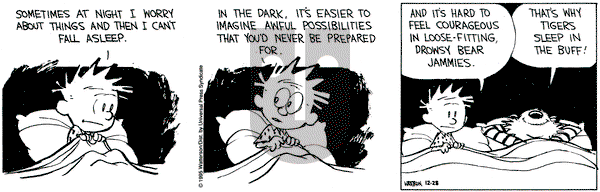 Calvin and Hobbes on Thursday December 28, 1995 Comic Strip