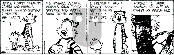 Calvin and Hobbes - Thursday December 31, 1992 Comic Strip