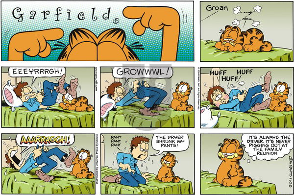 Garfield on Sunday November 28, 2004 Comic Strip