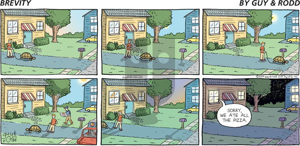 Brevity on Sunday January 11, 2009 Comic Strip
