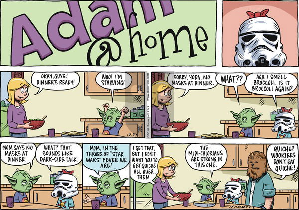Adam@Home on Sunday December 27, 2015 Comic Strip