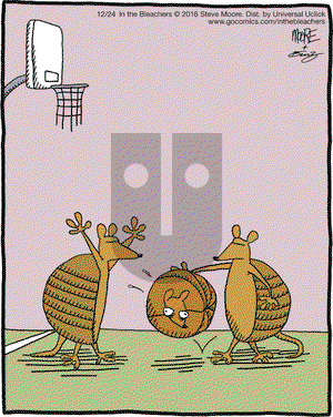 In the Bleachers on Saturday December 24, 2016 Comic Strip