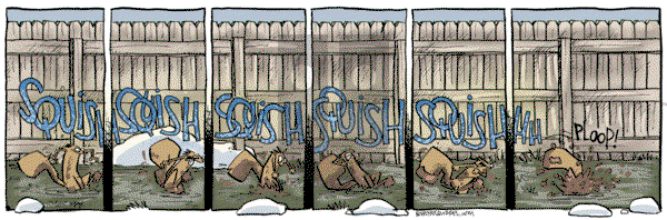 Bob the Squirrel on Tuesday March 18, 2025 Comic Strip