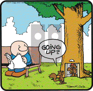 Ziggy on Saturday September 6, 2014 Comic Strip
