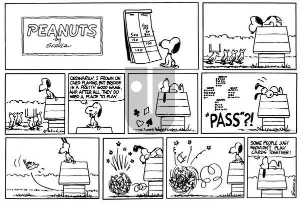 Peanuts on Sunday August 2, 1964 Comic Strip