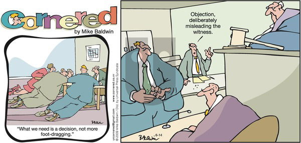 Cornered on Sunday June 14, 2009 Comic Strip