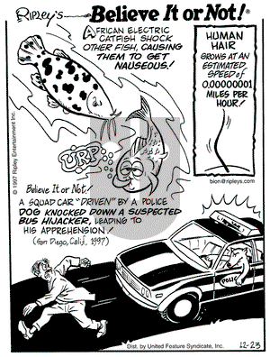Ripley's Believe It or Not on Tuesday December 23, 1997 Comic Strip