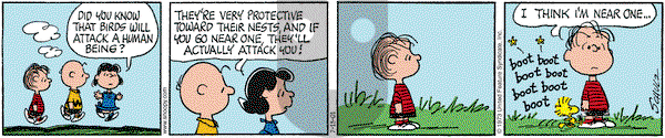 Peanuts on Friday July 13, 2001 Comic Strip