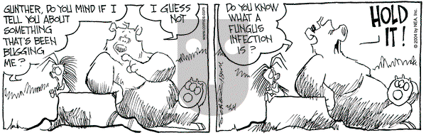 The Grizzwells on Tuesday February 24, 2004 Comic Strip