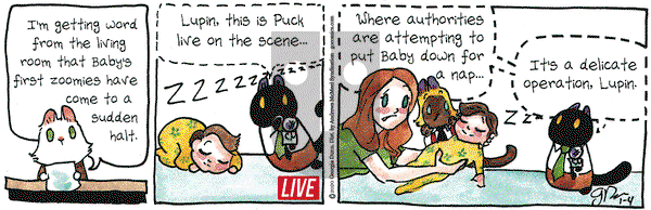 Breaking Cat News on Saturday January 4, 2020 Comic Strip