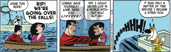 Rip Haywire on Thursday June 25, 2009 Comic Strip