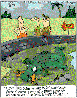The Flying McCoys on Friday March 17, 2017 Comic Strip