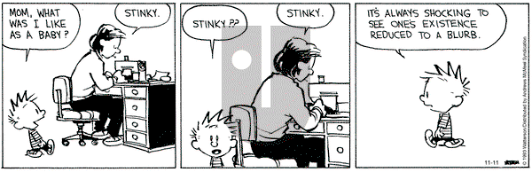 Calvin and Hobbes - Saturday November 11, 2023 Comic Strip
