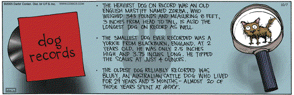 Get Fuzzy on Friday October 7, 2005 Comic Strip