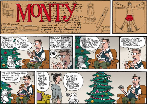 Monty on Sunday December 18, 2016 Comic Strip