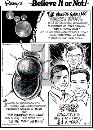 Ripley's Believe It or Not on Saturday June 4, 2005 Comic Strip